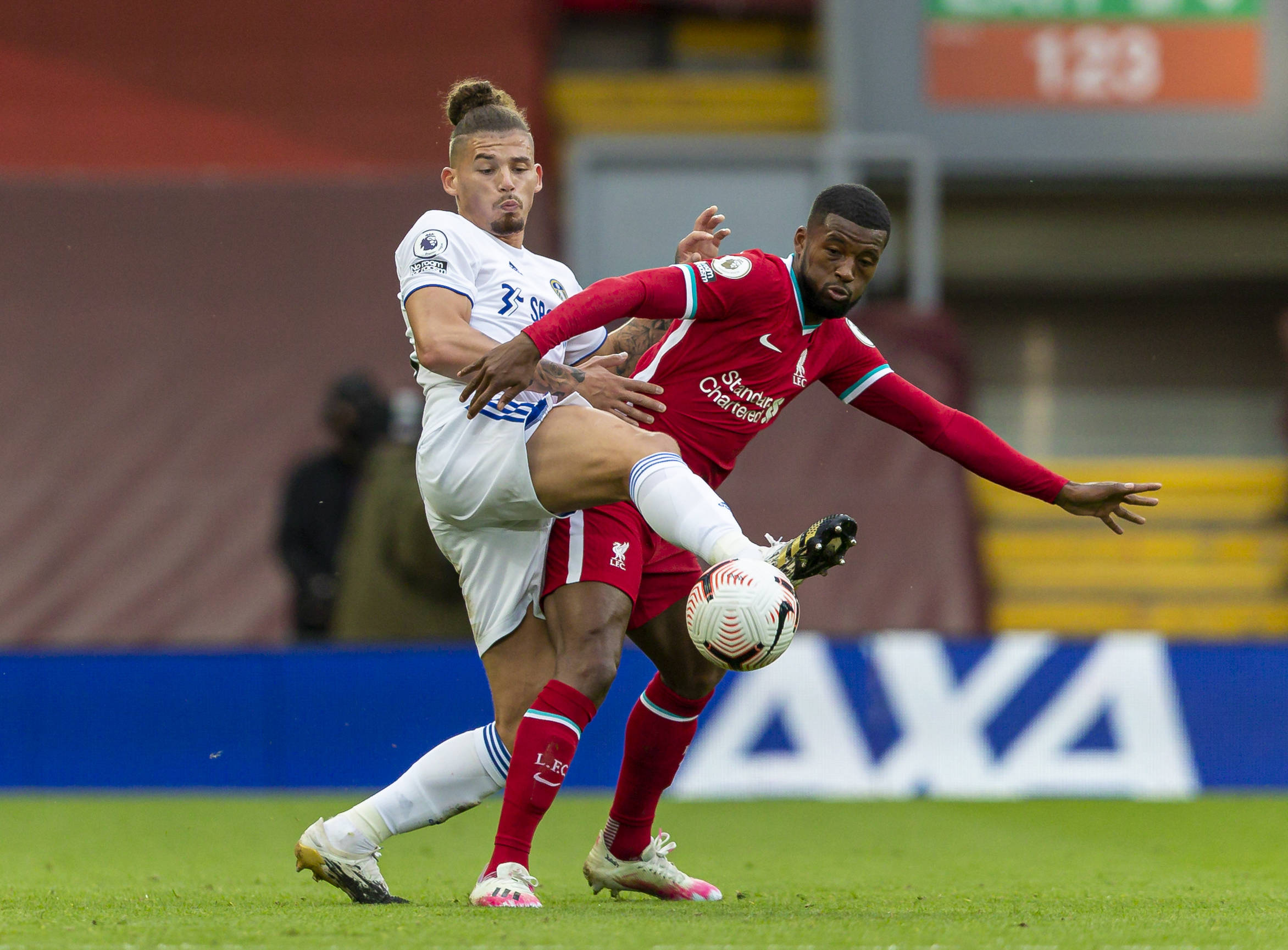 根宝基地的 根宝基地的